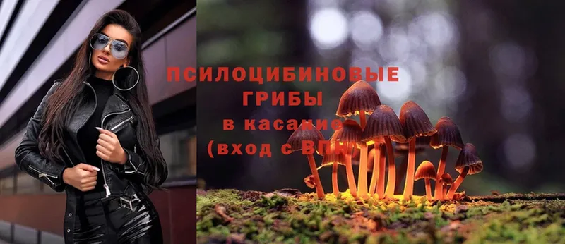 Псилоцибиновые грибы Magic Shrooms  даркнет сайт  Макушино 